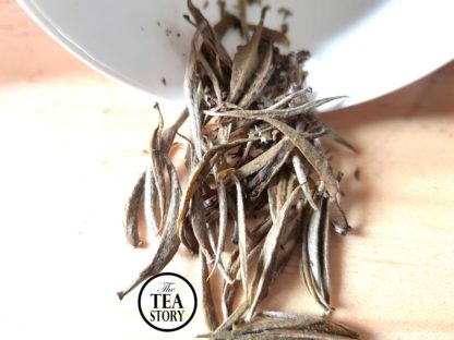 Silver Needle White Tea by The Tea Story straight from garden to cup
