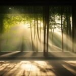 Goerani Milam: What the Garo Said About Dreams, and the Tea That Meets Them