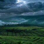Nawang: The Garo Wind Spirit Who Shapes the Hills That Grow Your Tea
