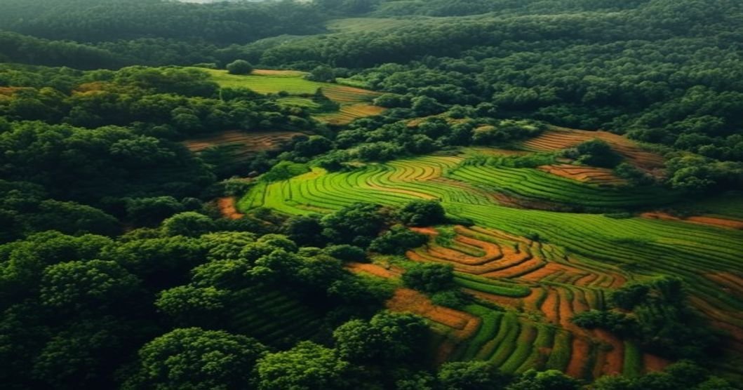 The Jhum Cycle and the Quarterly Target: What Garo Farming Knows About Burnout