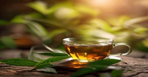 Green Tea for Corporate Professionals — Manage Stress and Weight with One Daily Habit