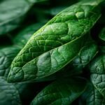 Tea and Cancer Prevention: What the Research on EGCG, Apoptosis, and Antioxidants Actually Shows
