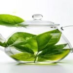 Tea and Cholesterol: How Green and Black Tea Affect LDL and Total Lipids