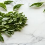 Tea and Heart Disease: The Cardiovascular Evidence You Should Actually Know